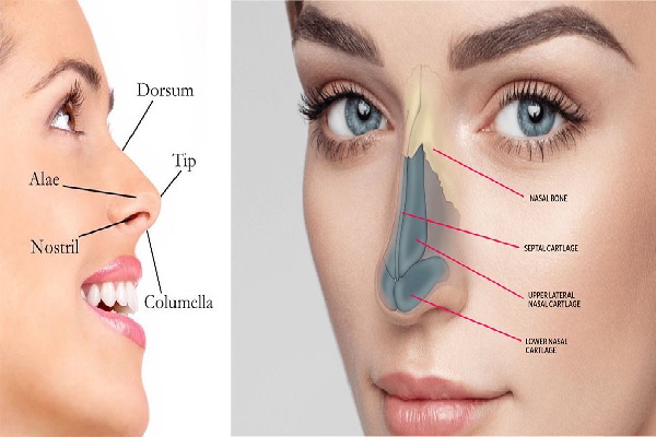 Nasal Bone Operation